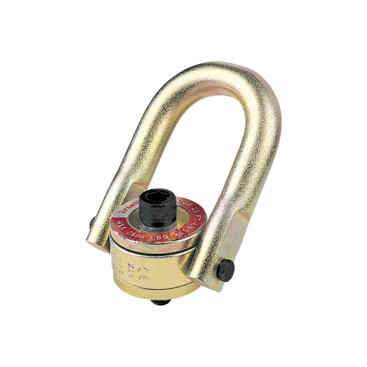 Hoist Rings